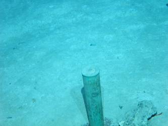 Shell casing on seabed